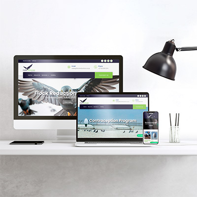 Website Designers and Developers